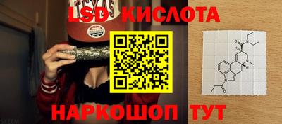 apvp Краснодар