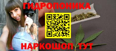 apvp Краснодар