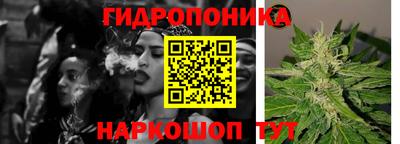 PSILOCYBIN Краснокаменск