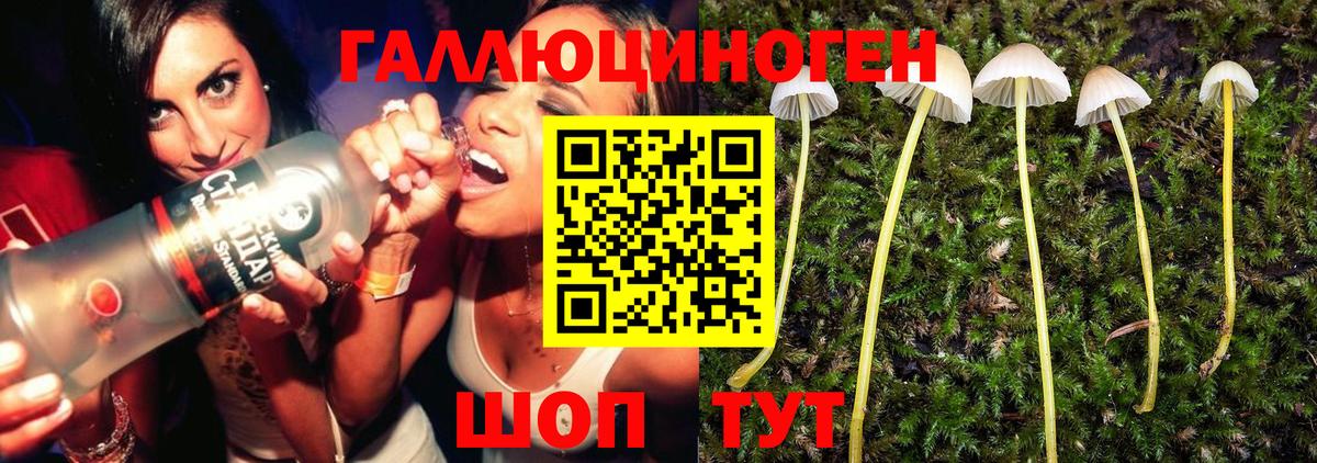 Псилоцибиновые грибы Magic Shrooms  Галлюциногенные грибы ЛСД  Вход с VPN  Шатура 