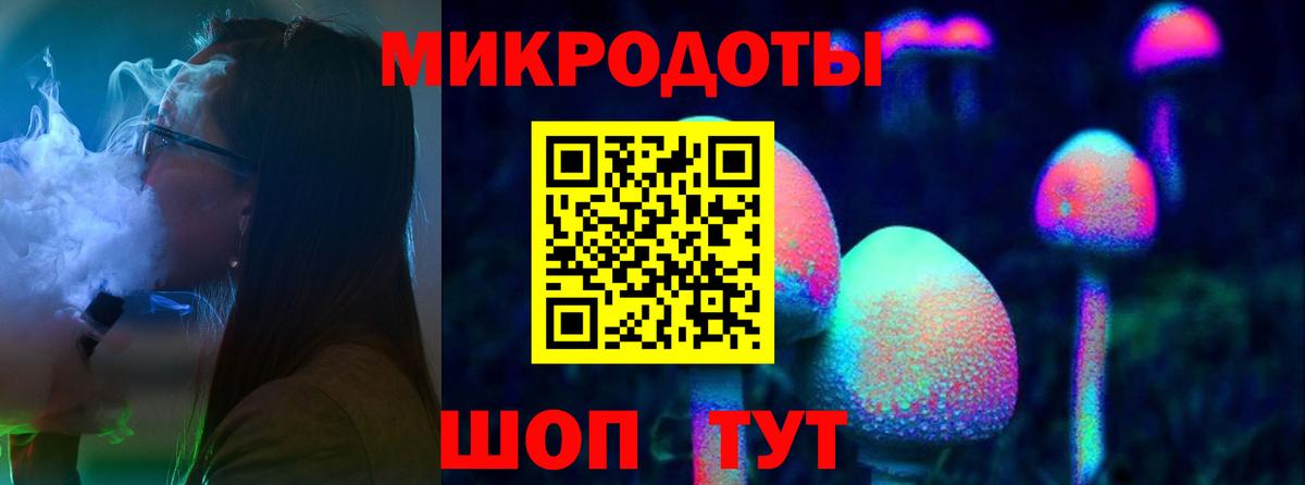 Псилоцибиновые грибы Psilocybe Шатура